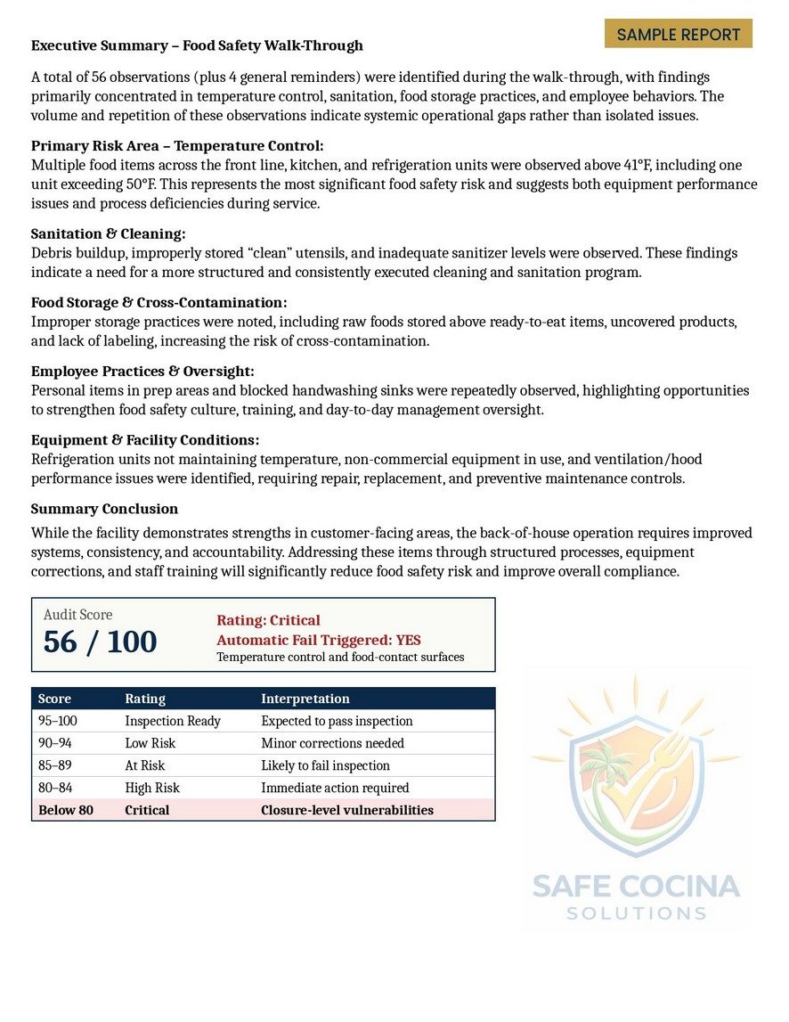 Sample executive summary with audit score and rating scale